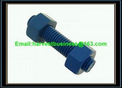 Teflon Stud Bolts Nuts