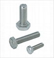 Hex bolt