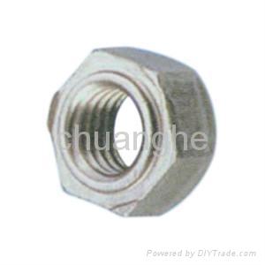 Welding Nut/Welded Nut 2