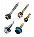 Drilling Screw 2