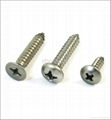 Drilling Screw 3