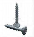 Drilling Screw 4