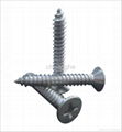 Drilling Screw 