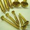 Drilling Screw  4