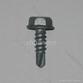 Tapping Screw