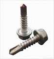 Tapping Screw  2