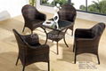 Rattan Chair & Table Series 2