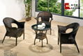 Rattan Chair & Table Series 3