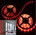 LED flexible 5