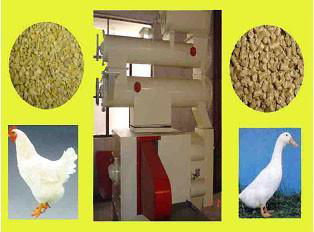 wood pellet mill