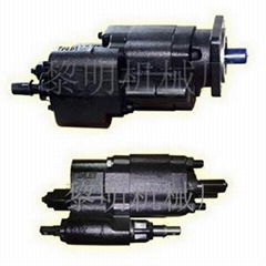 Gear pump C101