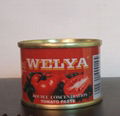 70g canned tomato paste 3