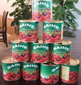 198g canned tomato paste 1