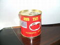 198g canned tomato paste 2