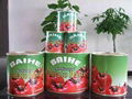 198g canned tomato paste 3