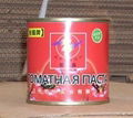 210g canned tomato paste