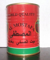 400g canned tomato paste