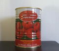 400g canned tomato paste 5