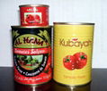 425g canned tomato paste 2