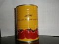 425g canned tomato paste 3