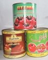 1000g canned tomato paste 2