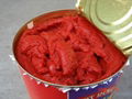 3000g canned tomato paste 3