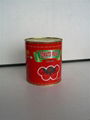 3000g canned tomato paste 4