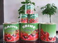 198g tomato paste