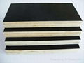 commercial plywood 5