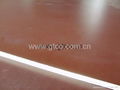 commercial plywood 2