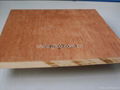 pencil cedar plywood 2