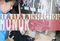  products quantity inspection company 3