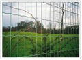 Euro fence 