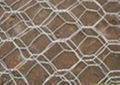 hexagonal wire mesh 