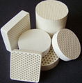 honeycomb ceramic catalyst(used in industry)