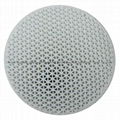 honeycomb ceramic catalyst(used in industry) 2