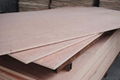 commercial plywood 1