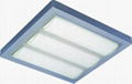 Solar Celling/Wall Ligh