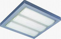 Solar Celling/Wall Ligh