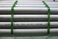 Stainless Steel Seamless Pipes and Tubes