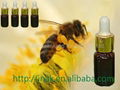 bee propolis 3