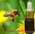 bee propolis 4