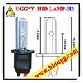 H3 HID LAMP .HID LIGHT