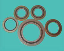 Sell Metal Graphites Spiral Wound Gasket