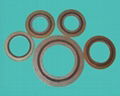 Sell Metal Graphites Spiral Wound Gasket