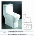 Washdown One-piece toilet