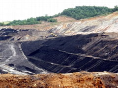 Steam Coal