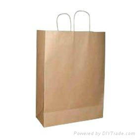 Shopping paper bag 2