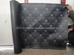 SBS modified asphalt waterproof membrane