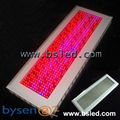 High Power LED Grow Light 600W Speed Plant Growth